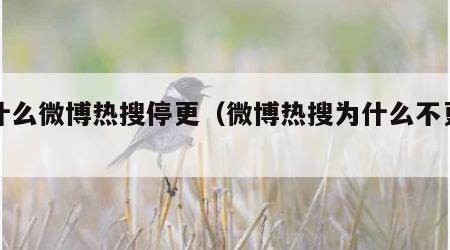 为什么微博热搜停更（微博热搜为什么不更新了）