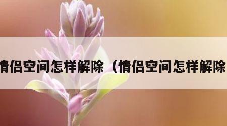 情侣空间怎样解除（情侣空间怎样解除）