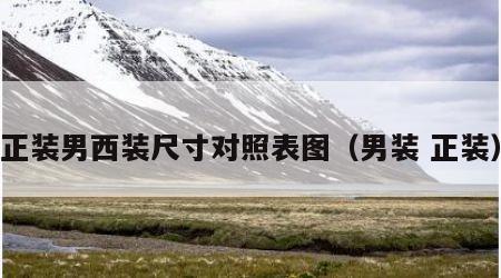 正装男西装尺寸对照表图（男装 正装）
