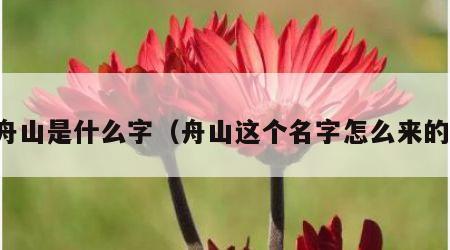 舟山是什么字（舟山这个名字怎么来的）