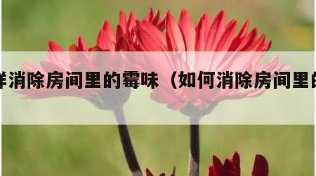 怎样消除房间里的霉味（如何消除房间里的霉味）
