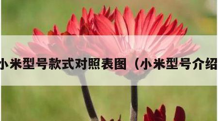 小米型号款式对照表图（小米型号介绍）
