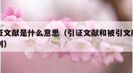 引证文献是什么意思（引证文献和被引文献的区别）