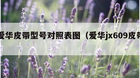 爱华皮带型号对照表图（爱华jx609皮带）