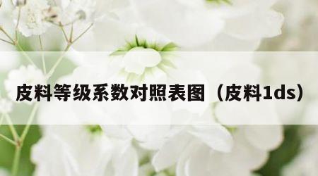 皮料等级系数对照表图（皮料1ds）