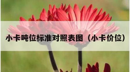小卡吨位标准对照表图（小卡价位）
