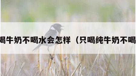只喝牛奶不喝水会怎样（只喝纯牛奶不喝水）
