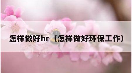 怎样做好hr（怎样做好环保工作）