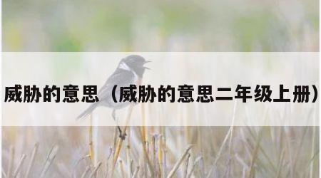 威胁的意思（威胁的意思二年级上册）