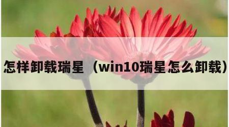 怎样卸载瑞星（win10瑞星怎么卸载）