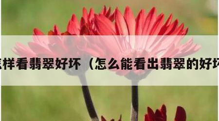 怎样看翡翠好坏（怎么能看出翡翠的好坏）