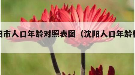 沈阳市人口年龄对照表图（沈阳人口年龄构成）