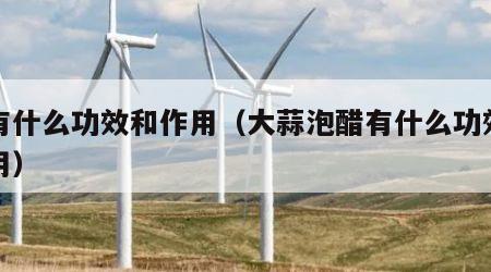 醋有什么功效和作用（大蒜泡醋有什么功效和作用）