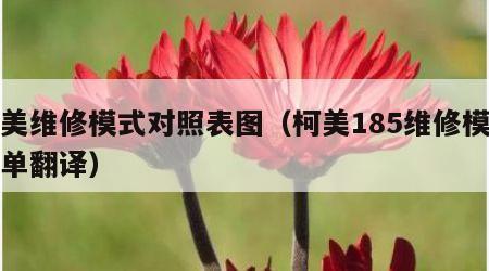柯美维修模式对照表图（柯美185维修模式菜单翻译）