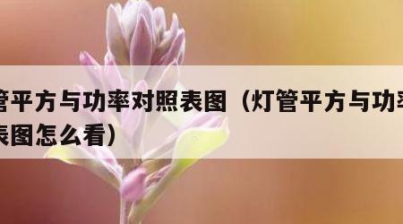 灯管平方与功率对照表图（灯管平方与功率对照表图怎么看）