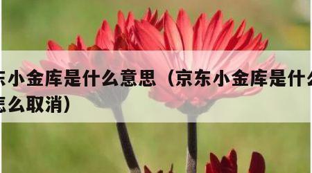 京东小金库是什么意思（京东小金库是什么意思怎么取消）