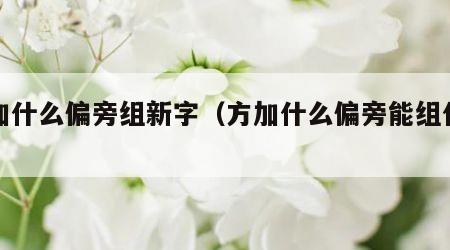 方加什么偏旁组新字（方加什么偏旁能组什么字）