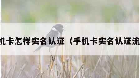 手机卡怎样实名认证（手机卡实名认证流程）