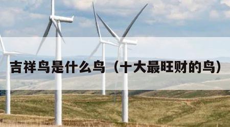 吉祥鸟是什么鸟（十大最旺财的鸟）