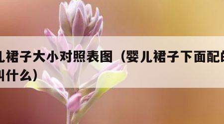 婴儿裙子大小对照表图（婴儿裙子下面配的裤子叫什么）
