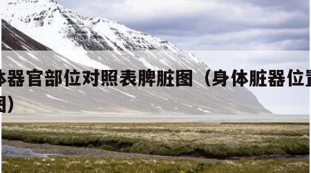 身体器官部位对照表脾脏图（身体脏器位置示意图）
