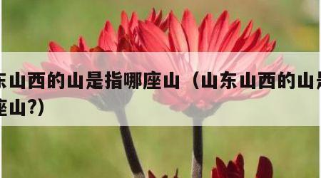 山东山西的山是指哪座山（山东山西的山是指哪座山?）