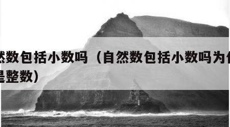 自然数包括小数吗（自然数包括小数吗为什么不是整数）