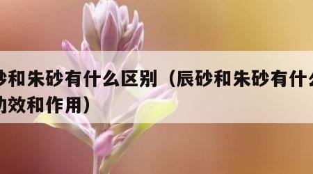 辰砂和朱砂有什么区别（辰砂和朱砂有什么区别功效和作用）