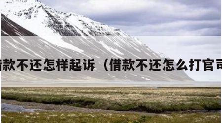 借款不还怎样起诉（借款不还怎么打官司）