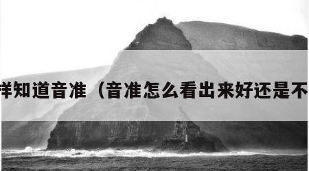 怎样知道音准（音准怎么看出来好还是不好）