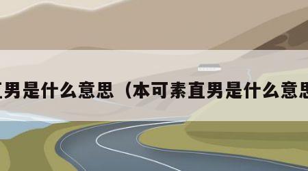 直男是什么意思（本可素直男是什么意思）