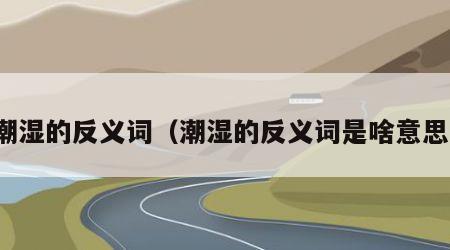 潮湿的反义词（潮湿的反义词是啥意思）