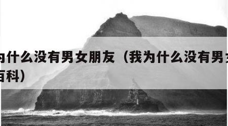 我为什么没有男女朋友（我为什么没有男女朋友百科）