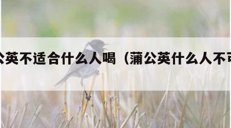 蒲公英不适合什么人喝（蒲公英什么人不可以喝）