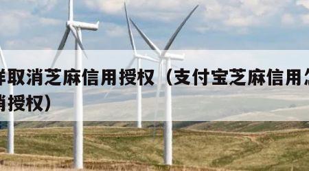 怎样取消芝麻信用授权（支付宝芝麻信用怎么取消授权）