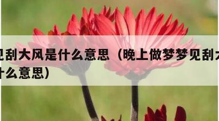梦见刮大风是什么意思（晚上做梦梦见刮大风是什么意思）