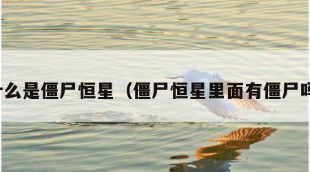 什么是僵尸恒星（僵尸恒星里面有僵尸吗）
