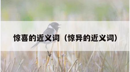 惊喜的近义词（惊异的近义词）