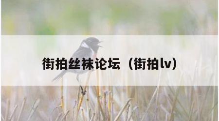 街拍丝袜论坛（街拍lv）