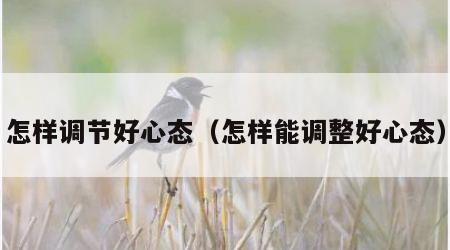 怎样调节好心态（怎样能调整好心态）