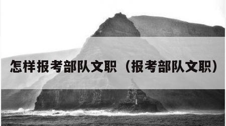 怎样报考部队文职（报考部队文职）