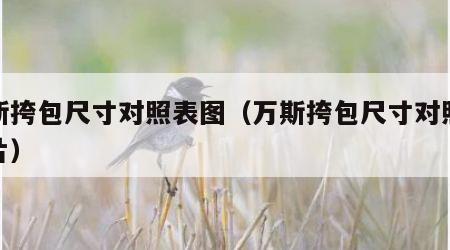 万斯挎包尺寸对照表图（万斯挎包尺寸对照表图片）