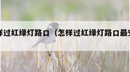 怎样过红绿灯路口（怎样过红绿灯路口最安全）