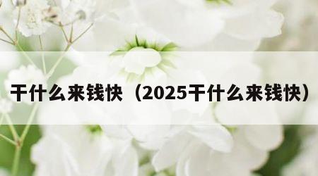 干什么来钱快（2025干什么来钱快）
