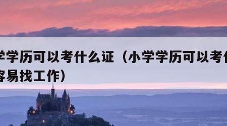 小学学历可以考什么证（小学学历可以考什么证容易找工作）