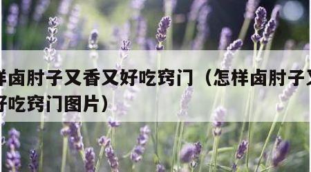 怎样卤肘子又香又好吃窍门（怎样卤肘子又香又好吃窍门图片）