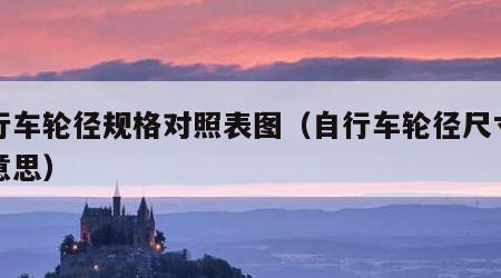 自行车轮径规格对照表图（自行车轮径尺寸什么意思）