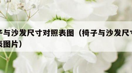 椅子与沙发尺寸对照表图（椅子与沙发尺寸对照表图片）