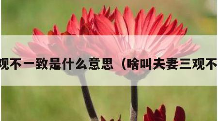 三观不一致是什么意思（啥叫夫妻三观不合）
