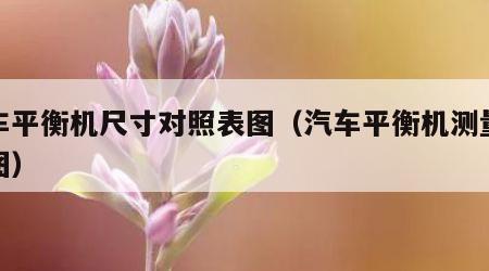 汽车平衡机尺寸对照表图（汽车平衡机测量原理图）